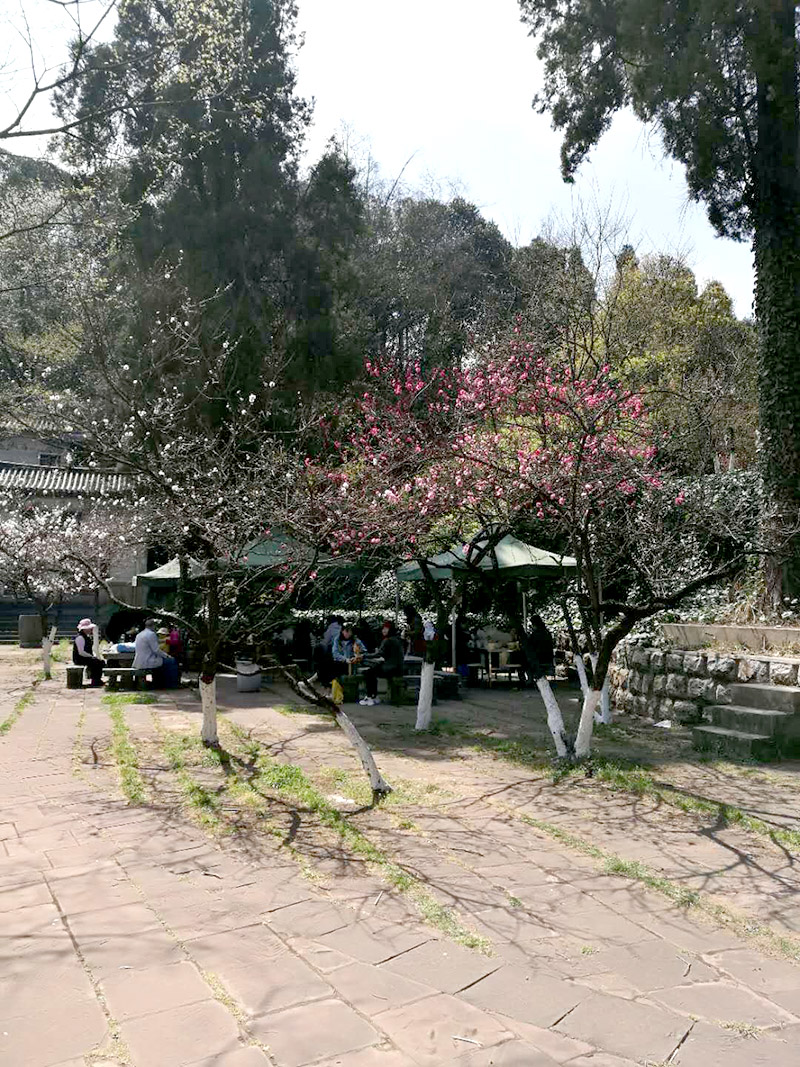 金沙js800000(集团)有限公司官网