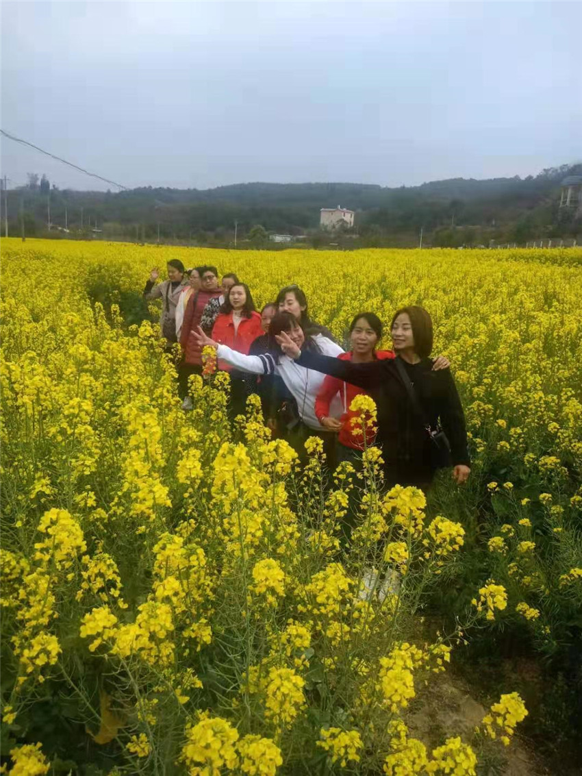 金沙js800000(集团)有限公司官网