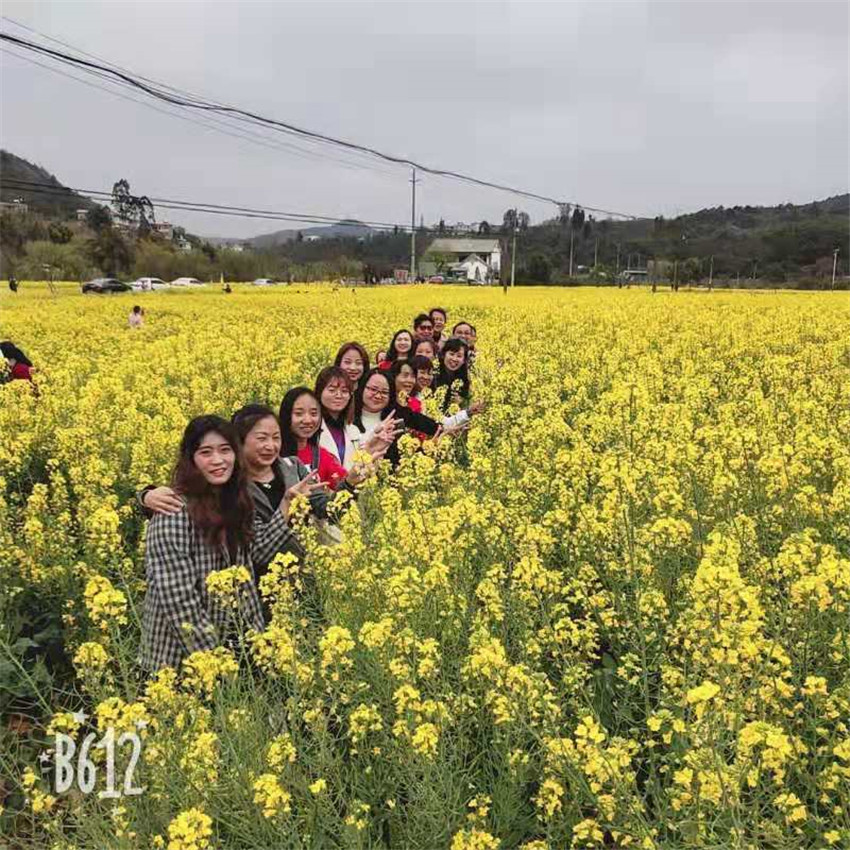 金沙js800000(集团)有限公司官网