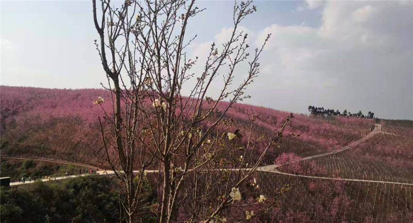 金沙js800000(集团)有限公司官网