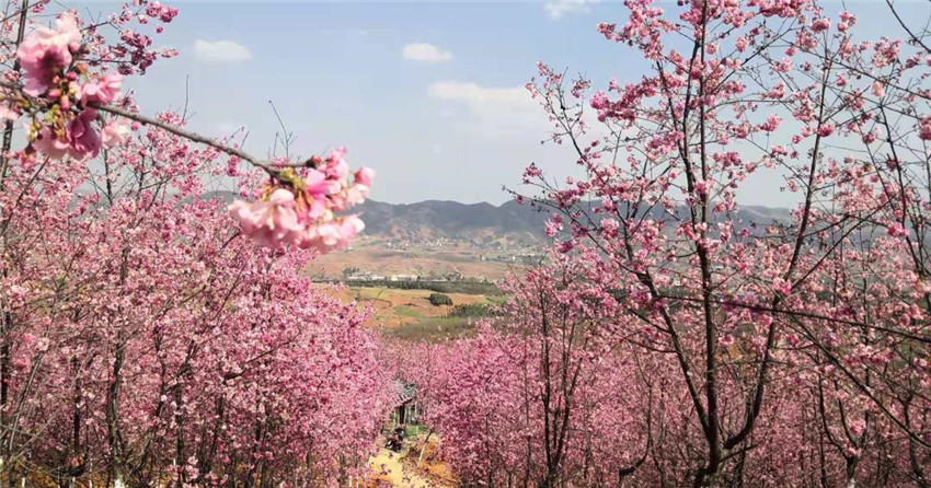 金沙js800000(集团)有限公司官网